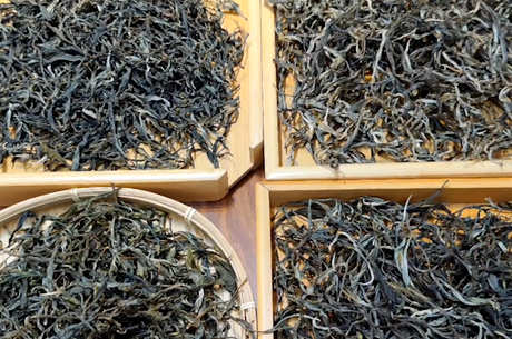 茶叶的保质期一般是多久？