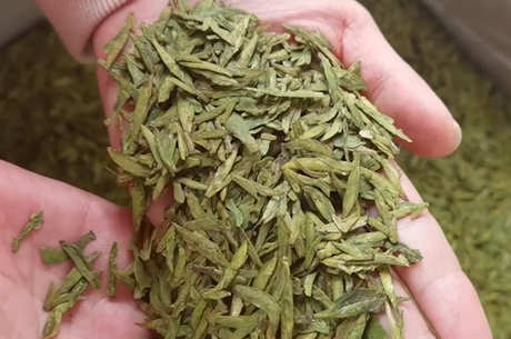 春茶和秋茶的区别