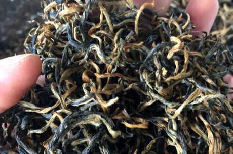 英红九号春茶和秋茶的区别