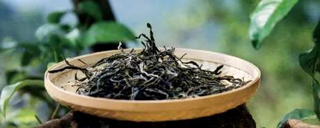 古树龙珠茶属于什么茶？