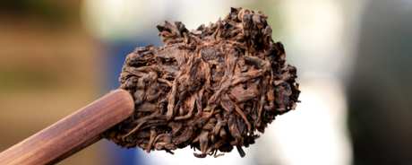 普洱茶头是什么？