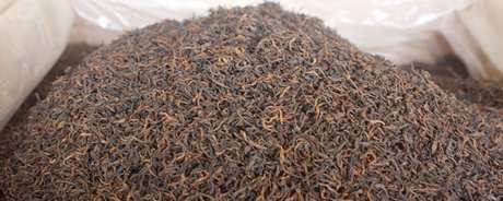 什么是普洱红茶？