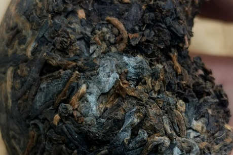 普洱茶受潮还能喝吗？