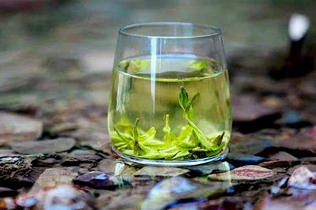 什么是雨花茶？
