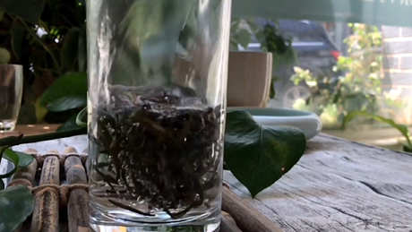 泡茶多久最好？泡茶多久最好？