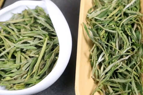 黄山毛峰属于什么茶？