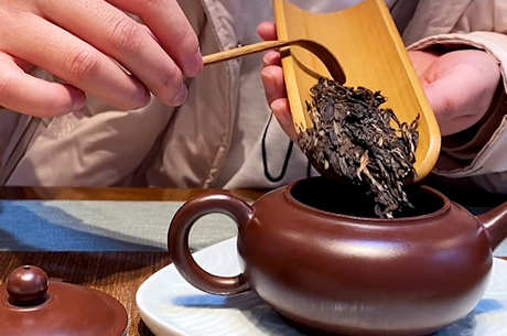 什么茶适合泡紫砂壶？