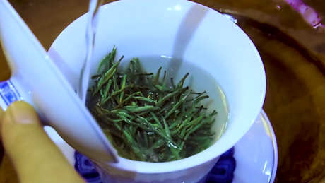 绿茶是什么茶？