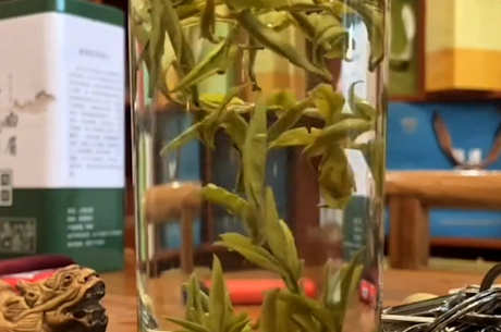 绿茶是什么茶？