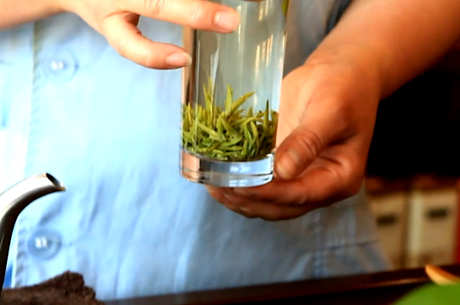 绿茶是什么茶？