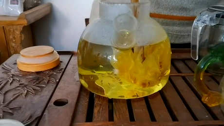 绿茶和白莲花的区别