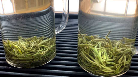 茶叶保质期过后还能喝吗？