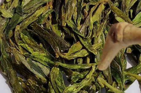 茶叶保质期过后还能喝吗？