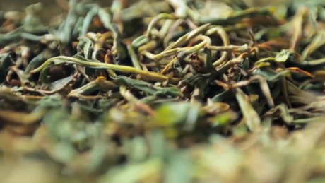 红茶绿茶的区别作用