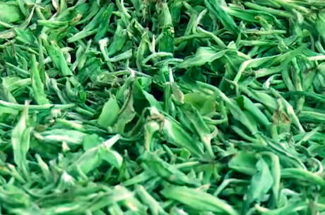 红茶绿茶的区别作用