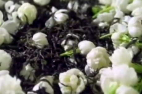 什么茶属于花茶？