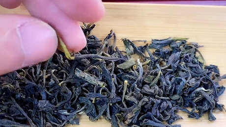 茉莉是绿茶吗？