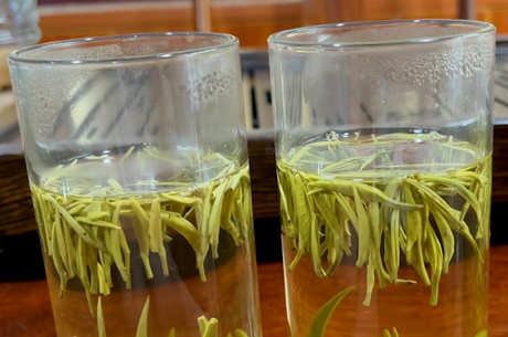 茉莉是绿茶吗？