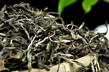 老班章和易武茶的区别