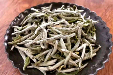 云南老白茶属于什么茶？