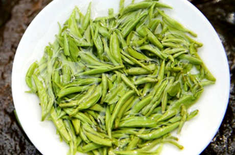 雀舌茶是红茶还是绿茶