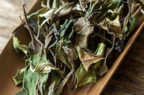 喝炭烤单丛茶的好处和坏处