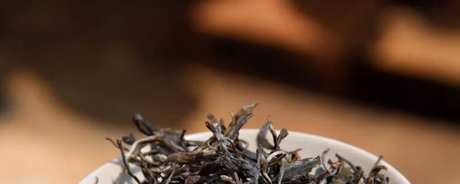 普洱生茶和熟茶的区别及功效禁忌