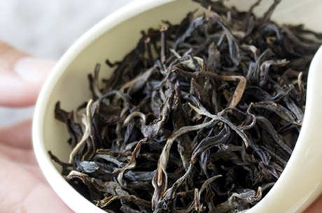 普洱生茶和熟茶的区别及功效禁忌