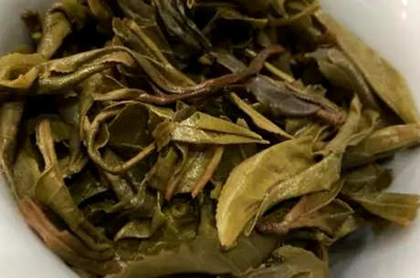 普洱茶属于什么茶？