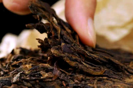 普洱茶有一点霉味是正常的吗？
