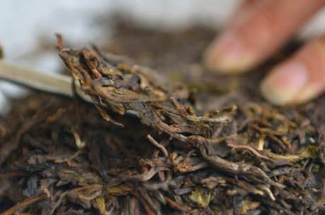绿茶和普洱茶的区别