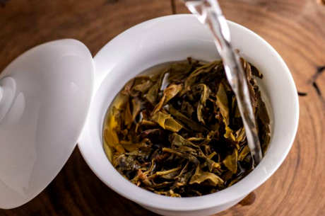 普洱茶发霉十年后还能喝吗？