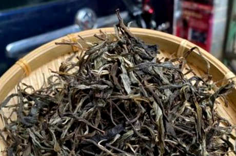 普洱茶有霉味正常吗？
