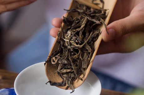 普洱茶是冷还是温