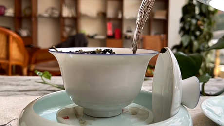 喝乌龙茶的禁忌