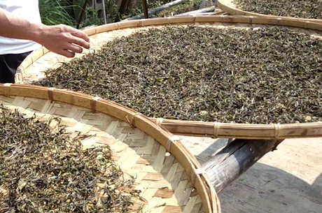 四种杀茶方法