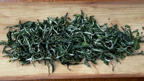 绿茶和红茶有什么区别？