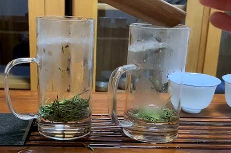 绿茶和红茶有什么区别？