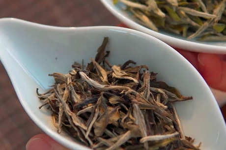 冲泡白茶的步骤