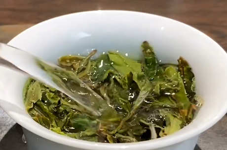 冲泡白茶的步骤