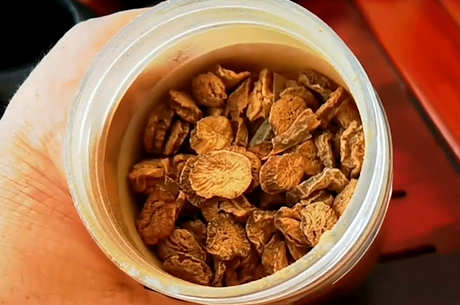 女性长期喝牛蒡茶的好处