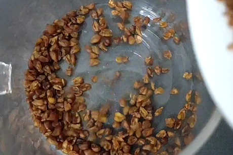 喝什么茶养胃最好？