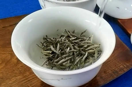怎样泡白牡丹茶？
