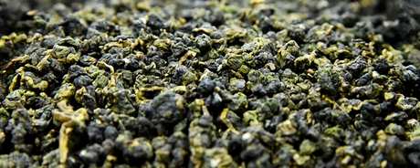 金萱茶属于什么茶？