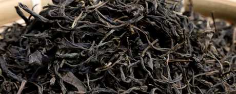 紫芽茶属于什么茶？