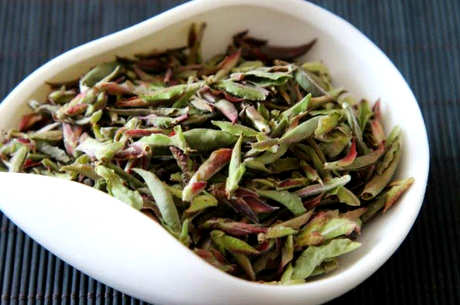 紫芽茶属于什么茶？