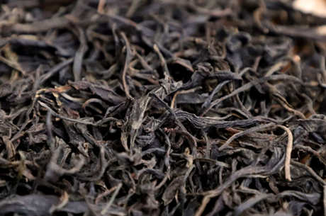 紫芽茶属于什么茶？