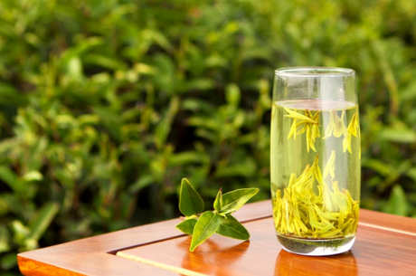 银杏茶属于什么茶？