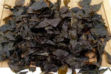 苦丁茶属于什么茶