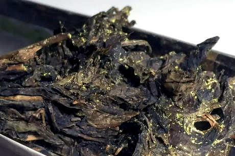 红茶包括哪种茶